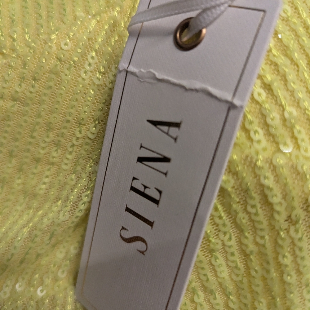 NWT, Siena Sleeveless Sequin A-Line Formal Dress. Size 2 Prom - Picture 5 of 9
